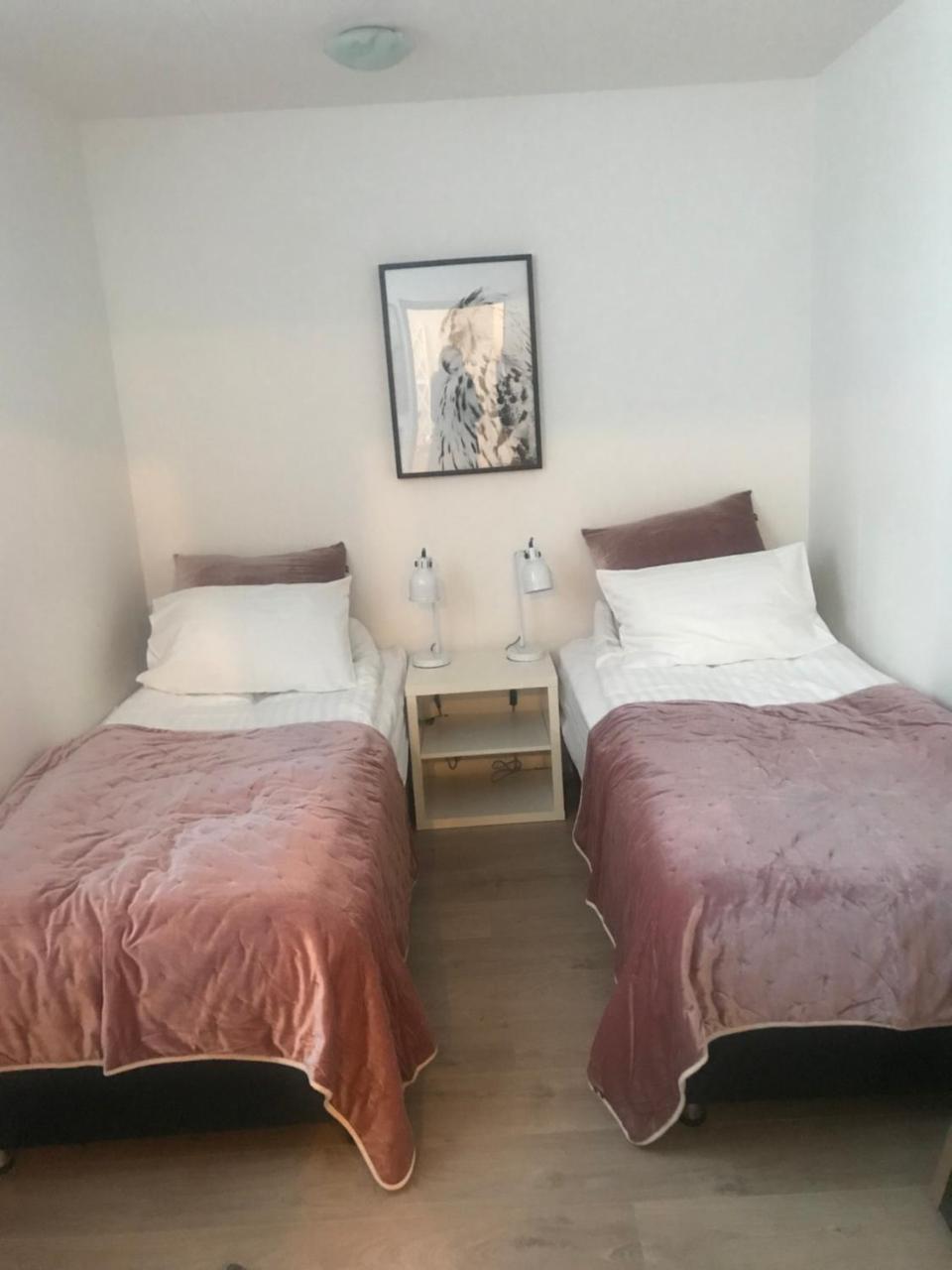 10B Gamla Laeknishusith Hg15108 Hotel Saudarkrokur Bagian luar foto